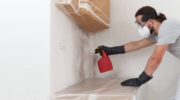Professional Bathroom Mold Removal technician working in Crocheron, MD